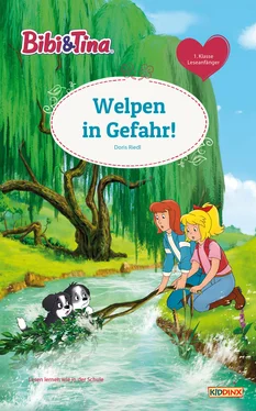 Doris Riedl Bibi & Tina - Welpen in Gefahr! обложка книги
