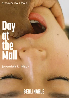 Jeremiah K. Black Day at the Mall обложка книги