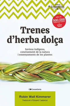 Robin Wall Kimmerer Trenes d'herba dolça обложка книги