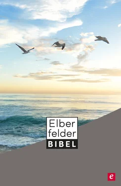 SCM R.Brockhaus Elberfelder Bibel - Altes und Neues Testament обложка книги