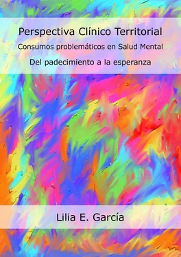 Lilia Edith García Perspectiva Clínico Territorial. Consumos problemáticos en Salud Mental обложка книги