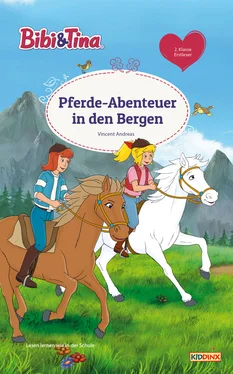 Vincent Andreas Bibi & Tina - Pferde-Abenteuer in den Bergen обложка книги