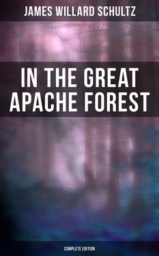 James Willard Schultz In the Great Apache Forest (Complete Edition) обложка книги