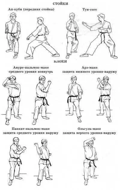 Система здоровья Норбекова и Сам Чон До Полный курс - фото 154