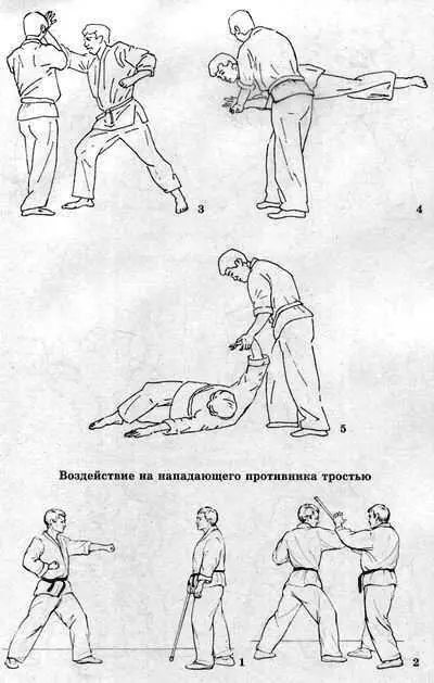 Система здоровья Норбекова и Сам Чон До Полный курс - фото 165