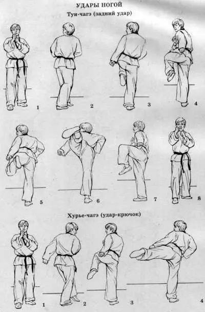 Система здоровья Норбекова и Сам Чон До Полный курс - фото 155