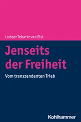Ludger Tebartz van Elst - Jenseits der Freiheit