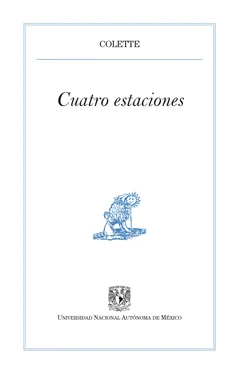 Colette Cuatro estaciones обложка книги