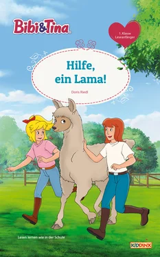 Doris Riedl Bibi & Tina - Hilfe, ein Lama! обложка книги