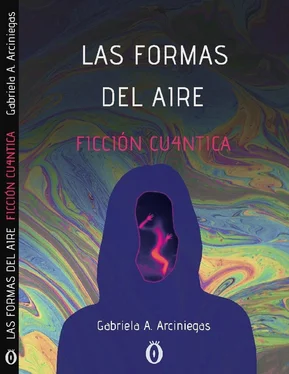 Gabriela Arciniegas Las formas del aire обложка книги