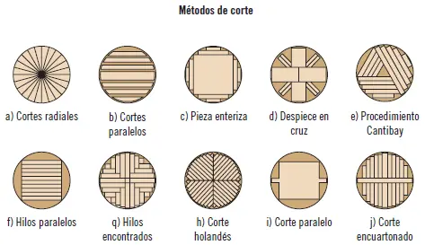 Maquinaria especializada para el seccionado de troncos en los aserraderos de - фото 16