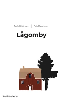 Felix Maier-Lenz Lågomby обложка книги