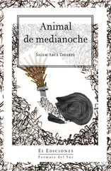 Salem Arce Tavares - Animal de medianoche