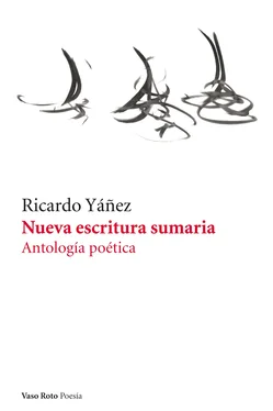 Ricardo Yáñez Nueva escritura sumaria обложка книги