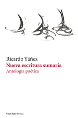 Ricardo Yáñez - Nueva escritura sumaria