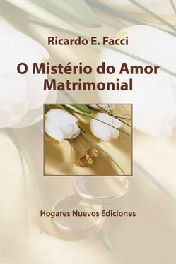 Ricardo E. Facci O mistério do amor matrimonial обложка книги
