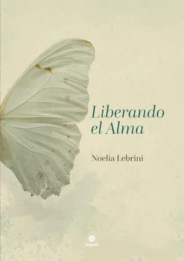 Noelia Lebrini Liberando el Alma обложка книги
