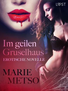 Marie Metso Im geilen Gruselhaus: Erotische Novelle обложка книги