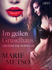 Marie Metso - Im geilen Gruselhaus - Erotische Novelle