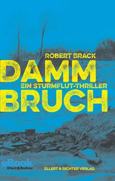 Robert Brack Dammbruch обложка книги