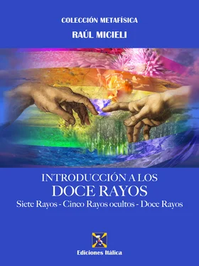 Raúl Micieli Introducción a los Doce Rayos обложка книги
