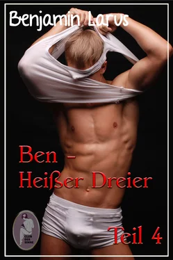 Benjamin Larus Ben - Heißer Dreier, Teil 4 (Erotik, Menage a trois, bi, gay) обложка книги