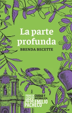 Brenda Sol Becette La parte profunda обложка книги