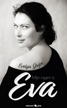 Evelyn Grijze Mijn naam is Eva обложка книги