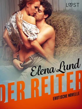 Elena Lund Der Reiter: Erotische Novelle обложка книги
