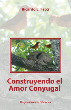 Ricardo E. Facci Construyendo el amor conyugal обложка книги