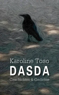 Karoline Toso DASDA обложка книги