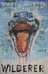 Tom Franklin - Wilderer