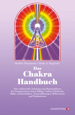 Bodo J. Baginski Das Chakra-Handbuch обложка книги