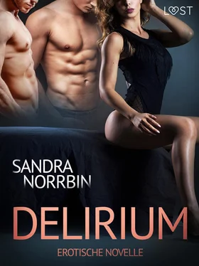 Sandra Norrbin Delirium: Erotische Novelle обложка книги