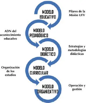 Este último aspecto o modelo organizativo no se desarrolla en este documento - фото 3