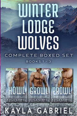 Kayla Gabriel Winter Lodge Wolves Complete Boxed Set обложка книги