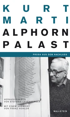 Kurt Marti Der Alphornpalast обложка книги