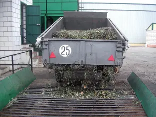 Por regla general la aceituna llega a la almazara con exceso de hojas - фото 70