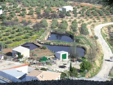 Balsas de alpechines en las proximidades de una almazara 1 Vertidos y - фото 88