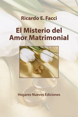 Ricardo E. Facci El misterio del amor matrimonial обложка книги