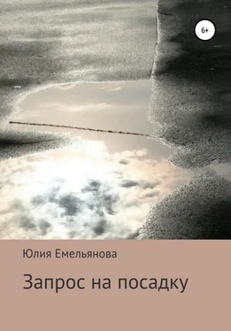 Юлия Емельянова Запрос на посадку обложка книги