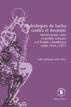 Kelly Johanna Ariza Arias Estrategias de lucha contra el despojo: обложка книги