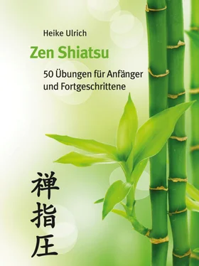 Heike Ulrich Zen Shiatsu обложка книги