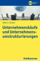 Peter C. Fischer - Unternehmenskäufe und Unternehmensumstrukturierungen