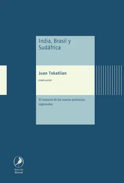 Juan Gabriel Tokatlian India, Brasil y Sudáfrica обложка книги