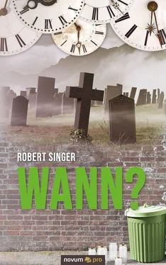 Robert Singer Wann? обложка книги