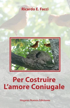 Ricardo E. Facci Per Costruire L'amore Coniugale обложка книги