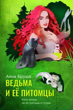 Анна Бруша Ведьма и ее питомцы обложка книги