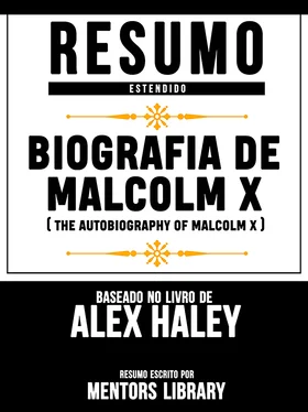 Mentors Library Resumo Estendido: Biografia De Malcolm X (The Autobiography Of Malcolm X) - Baseado No Livro De Alex Haley обложка книги