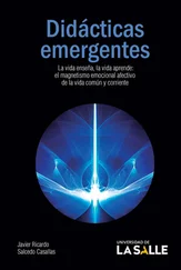 Javier Ricardo Salcedo Casallas - Didácticas emergentes